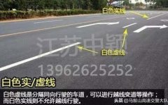 道路交通標(biāo)線圖文講解，僅花1分鐘讓你快速看懂，再也不會被違章扣分
